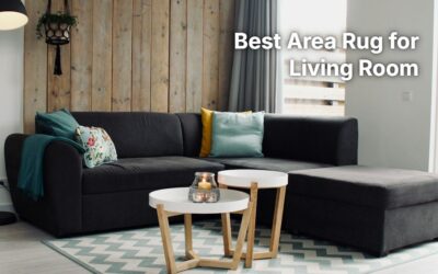 Best Area Rug for Living Room: 8 Picks for Every Style
